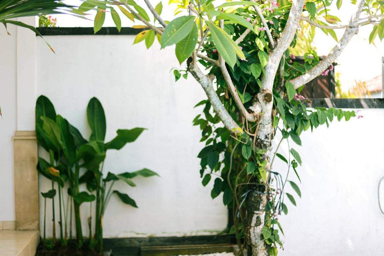 Adi Guest House Canggu Exteriér fotografie