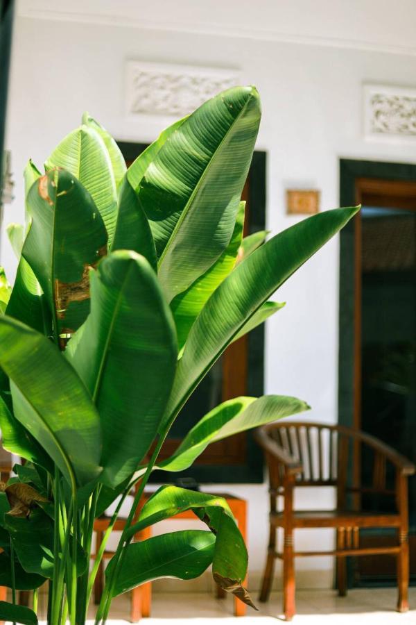 Adi Guest House Canggu Exteriér fotografie